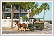Charleston South Carolina, Street Scene, Horse Drawn Carriage Tour, Vtg Postcard picture