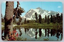 MT SHUKSAN VIEWED FROM HEATHER MEADOWS WA POSTCARD picture