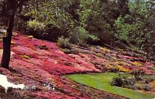 Redmann's Rock Garden Schoharie New York 1978 Vtg Posted Postcard M20 picture