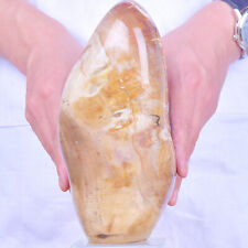6.04LB Natural redstone wood fossil crystal ornament healing picture