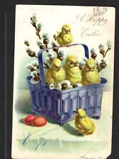 Postcard c1905 Raphael Tuck Easter Card Chicks in Basket 240141 picture