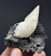 Calcite with Sphalerite - Buick Mine, Iron Co., Missouri picture