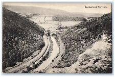c1940's Bird's Eye View Of Cumberland Narrows Maryland MD Vintage Postcard picture