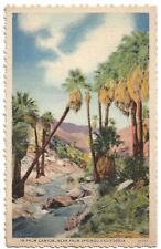 Palm Springs California c1940's Palm Canyon oasis, stream, Palm Trees picture