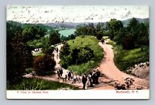 Postcard A View in Seneca Park  Rochester NY picture