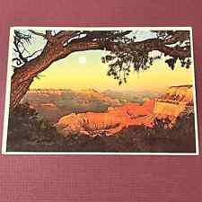 Vintage Chrome Card 4x6Grand Canyon Full moon  B12 picture