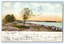 1906 Lake Side Park, Fond Du Lac Wisconsin WI Posted Anique Postcard picture