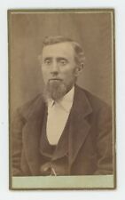 Antique CDV Circa 1870s Handsome Man Chin Beard Green Backing Taylor Oneida, IL picture