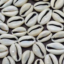50Pcs Bulk Cut Sea Shell Cowrie Cowry Slice shells Beach Jewelry DIY 1.6-2cm Lot picture