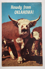 POSTCARD HOWDY FROM OKLAHOMA HUMOR HEREFORD CATTLE posted 1975 picture