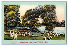 1951 Sheep River Scene Greetings from Danville Ohio OH Posted Vintage Postcard picture