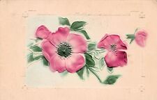 Prickly Wild Arctic Rose Pink Flowers Faux Frame Alliance Ohio Vtg Postcard A35 picture