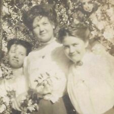 Antique Snapshot Photo Three Women Edwardian Captioned Bees Among The Blossoms picture