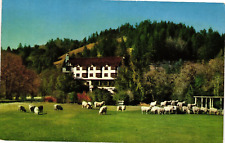 Hotel Benbow Grounds Sheep Garberville California Postcard Unused c1950s picture