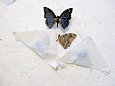 Entomology Destocking RCA Nymphalidae Charaxes Numenes Male 4 Piece picture