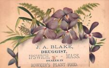 1880s-90s Purple Flowers JA Blake Druggist Ipswich MA Bowker's Plant Trade Card picture