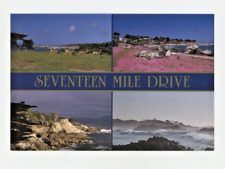 Postcard    CALIFORNIA    SEVENTEEN MILE DRIVE MONTEREY UNPOSTED CHROME 4X6 picture
