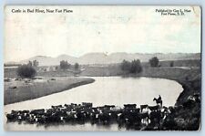Fort Pierre South Dakota Postcard Cattle Bad River Exterior 1910 Vintage Antique picture