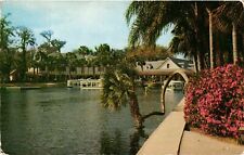 Postcard Florida's Silver Springs Lucky Palm Tree with Azaleas in Bloom picture