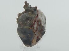 Anatomical Shaped Crystal Human Heart Mexican Lace Agate Crystal Carving Stand picture