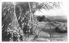 Postcard RPPC Photo 1940s California Coachella Valley Frasher 22-12751 picture