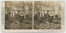MAINE SV - Hunting & Camping Scene - HC White Flip View picture