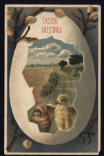 1909 EASTER GREETINGS - Embossed CHICKS EGG landscape POSTED message 1c stamp picture