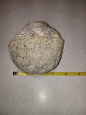 Guaranteed Hollow 3.75 Inch Diameter Break Your Own Mexican Coconut Geode   picture