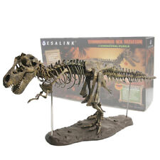 4D Dinosaur Assembly DIY Collector Skeleton Statue Educational picture