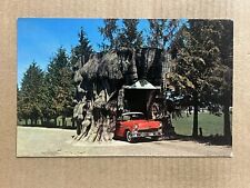 Postcard Washington WA Giant Cedar Stump Highway 99 Old Car Vintage PC picture