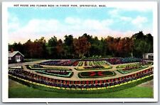 Vtg Springfield Massachusetts MA Hot House & Flower Beds in Forest Park Postcard picture