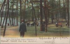 Postcard Path to Point Lookout  Lakewood NJ picture