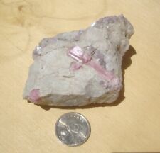 Pink Tourmaline with Lepidolite mica, Himalaya Mine, San Diego Co., CA picture