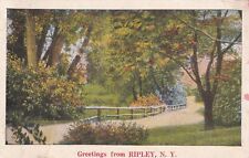 Ripley New York NY Greetings From 1934 to Caney KS Postcard C59 picture