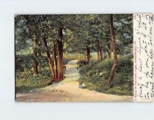 Postcard A Walk In Paxtang Park Harrisburg Pennsylvania USA picture