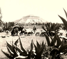 1930s TEOTIHUACAN AZTEC PYRAMID OF THE SUN MEXICO KODAK RPPC POSTCARD P1294 picture