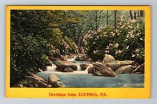 Lucinda PA-Pennsylvania, Scenic Greetings, River, Flowers, Vintage Postcard picture