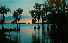 Silhouettes of Cypress Trees Cypress Gardens Florida FL pm 1964 Postcard picture
