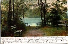 Tupelo Point Wellesley College Wellesley MA 1906 UDB Postcard B15 picture