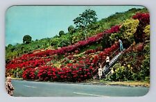 Kealakekua Kona HI-Hawaii, Machado Gardens, Visitors, Vintage Souvenir Postcard picture