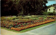 Elizabeth Park Flower Rose Gardens Hartford Connecticut CT Postcard Unused UNP picture
