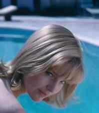 BEAUTIFUL CAROL LYNLEY 8X10 PHOTO picture