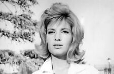 MONICA VITTI Classic 1960s Italian Actress Publicity Picture Photo 8