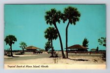 Marco Island FL-Florida, Tropical Beach at Marco Island, Vintage Card Postcard picture