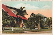 St Petersburg FL Florida, Beach Drive North Tropical Scene, Vintage Postcard picture