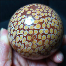 RARE 452.5G Natural Polished coral jade Agate Crystal Sphere Ball Healing B317 picture