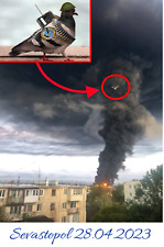 War in Ukraine Humor Ukrainian war pigeon in Sevastopol 28.04.2023 picture