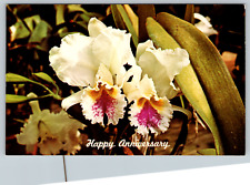 c1960s Happy Anniversary White Flowers Vintage Postcard picture