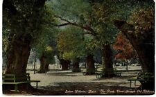 vintage 1900s Salem Willows MA The Park view through old willows Postcard picture