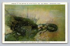 c1949 Postcard Maistique MI Michigan Bottom of Kitchi-Tiki-Pi Big Spring picture